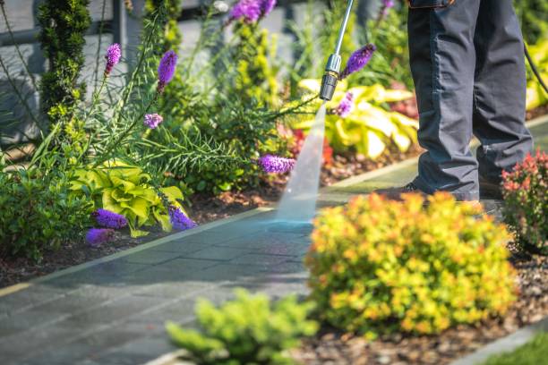 Animal Enclosure Cleaning in Vista, CA